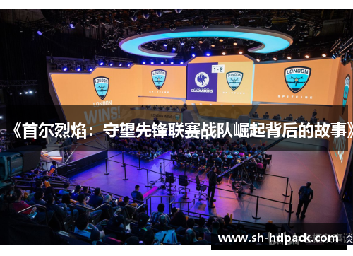 《首尔烈焰：守望先锋联赛战队崛起背后的故事》