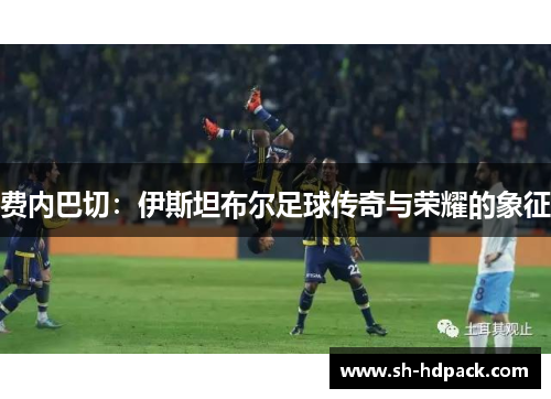 费内巴切：伊斯坦布尔足球传奇与荣耀的象征