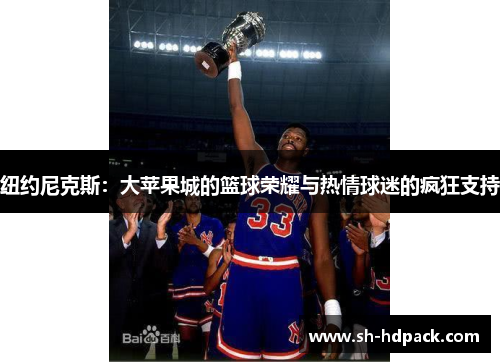纽约尼克斯：大苹果城的篮球荣耀与热情球迷的疯狂支持